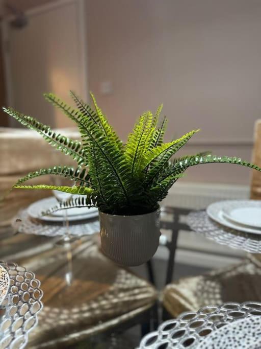 Cozy 3-bed House In Centre Holiday home Leicester